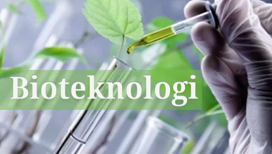Ethics and Responsibility: Exploring Regulatory Implications in Biotechnology
