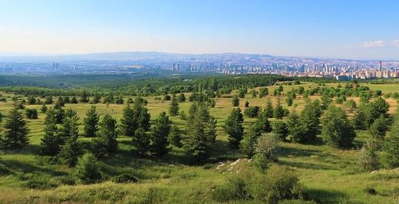 Changing Behavior, Changing the World: 10 Strategies for Becoming a Responsible Environmental Steward