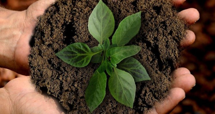 Why is Environmental Education Important? Listen to the explanation!