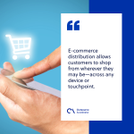 Leveraging E-Commerce to Maximize Sales of Lifestyle Goods