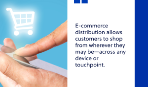 Leveraging E-Commerce to Maximize Sales of Lifestyle Goods