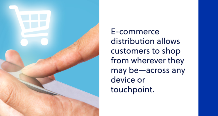 Leveraging E-Commerce to Maximize Sales of Lifestyle Goods
