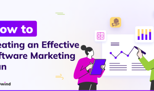Effective Marketing Strategies for Software Companies Unleashed