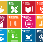 Sustainable Insurance Solutions for the Modern Consumer