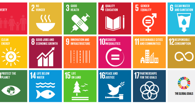 Sustainable Insurance Solutions for the Modern Consumer