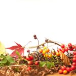 Seasonal Trends in Childrens Product Purchases and Sales Strategies
