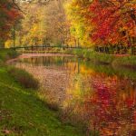 Seasonal Lifestyle Trends That Boost Consumer Purchases