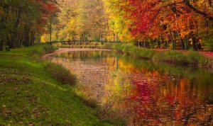 Seasonal Lifestyle Trends That Boost Consumer Purchases