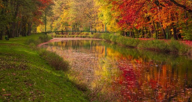 Seasonal Lifestyle Trends That Boost Consumer Purchases
