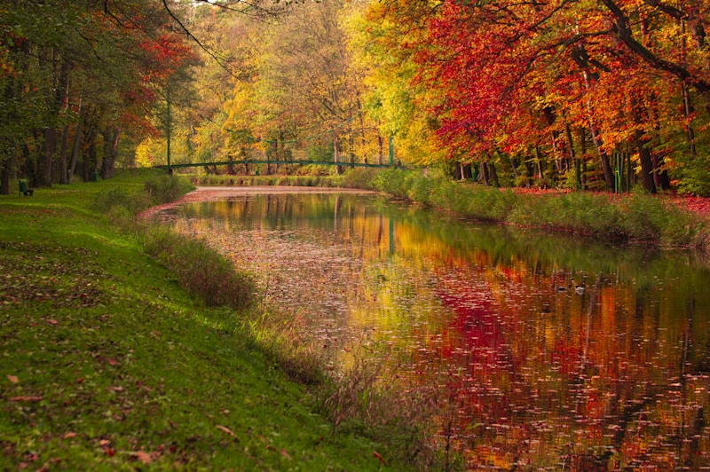패션 스타일링의 핵심 포인트 Seasonal Lifestyle Trends That Boost Consumer Purchases