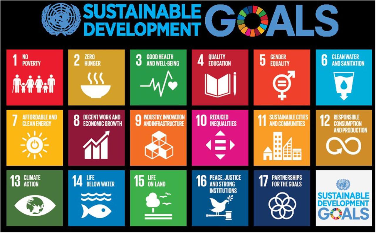 Frontiers | The Development of a Sustainability-Oriented Creativity ... Sustainable Decoration Products That Attract Eco-Conscious Buyers