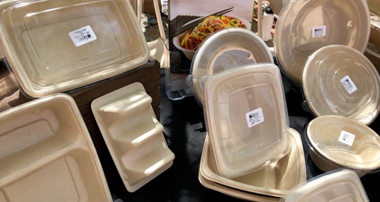 Sustainable Lifestyle Products Gaining Popularity Among Shoppers