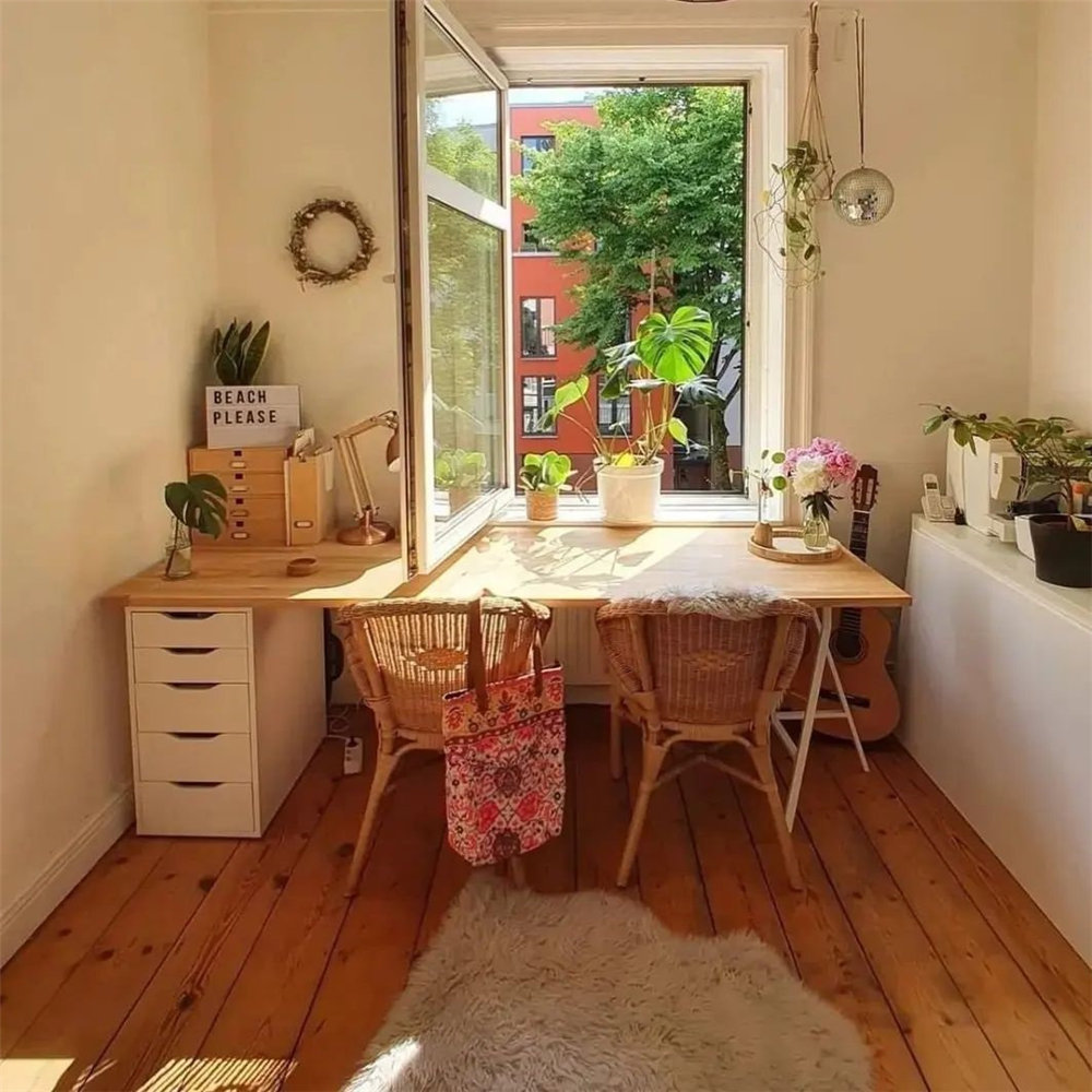 Top Indoor Plant Decor Reviews