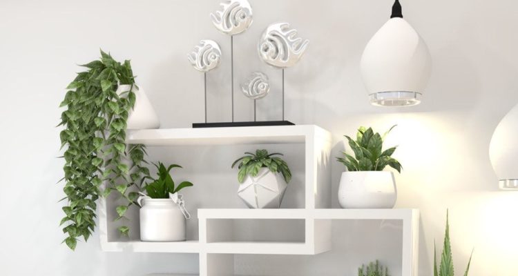 Top Indoor Plant Decor Reviews Elevate Your Space Top Indoor Plant Decor Reviews Elevate Your Space