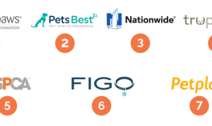 Best Pet Insurance Reviews Unveiling the Best Choices Best Pet Insurance Reviews Unveiling the Best Choices