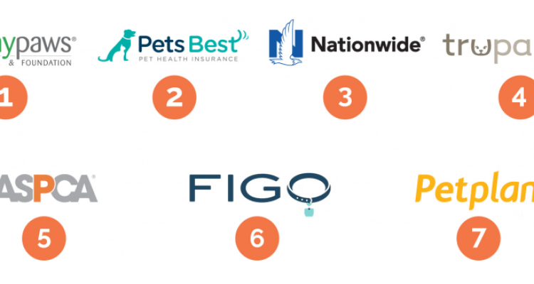 Best Pet Insurance Reviews Unveiling the Best Choices