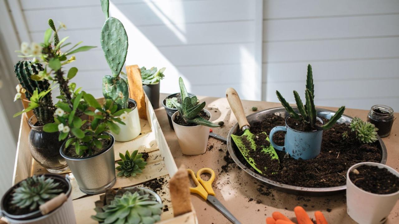 Best Practices For Sustainable Living