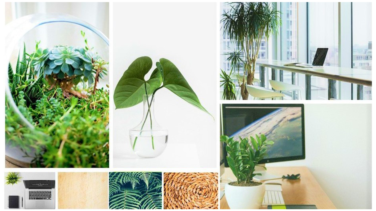 Creative Ways To Incorporate Nature Into Daily Life