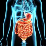 Cara Sederhana Untuk Meningkatkan Kesehatan Pencernaan