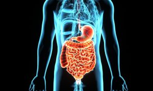 Cara Sederhana Untuk Meningkatkan Kesehatan Pencernaan