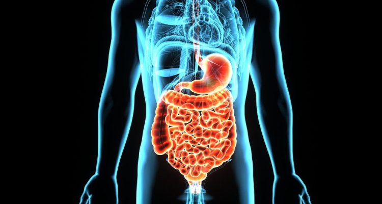 Cara Sederhana Untuk Meningkatkan Kesehatan Pencernaan