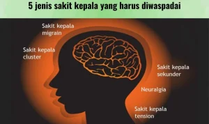 Faktor Risiko Penyakit Yang Perlu Diwaspadai