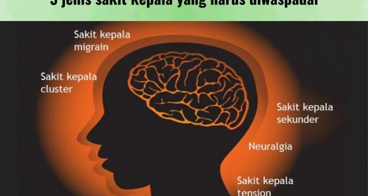 Faktor Risiko Penyakit Yang Perlu Diwaspadai