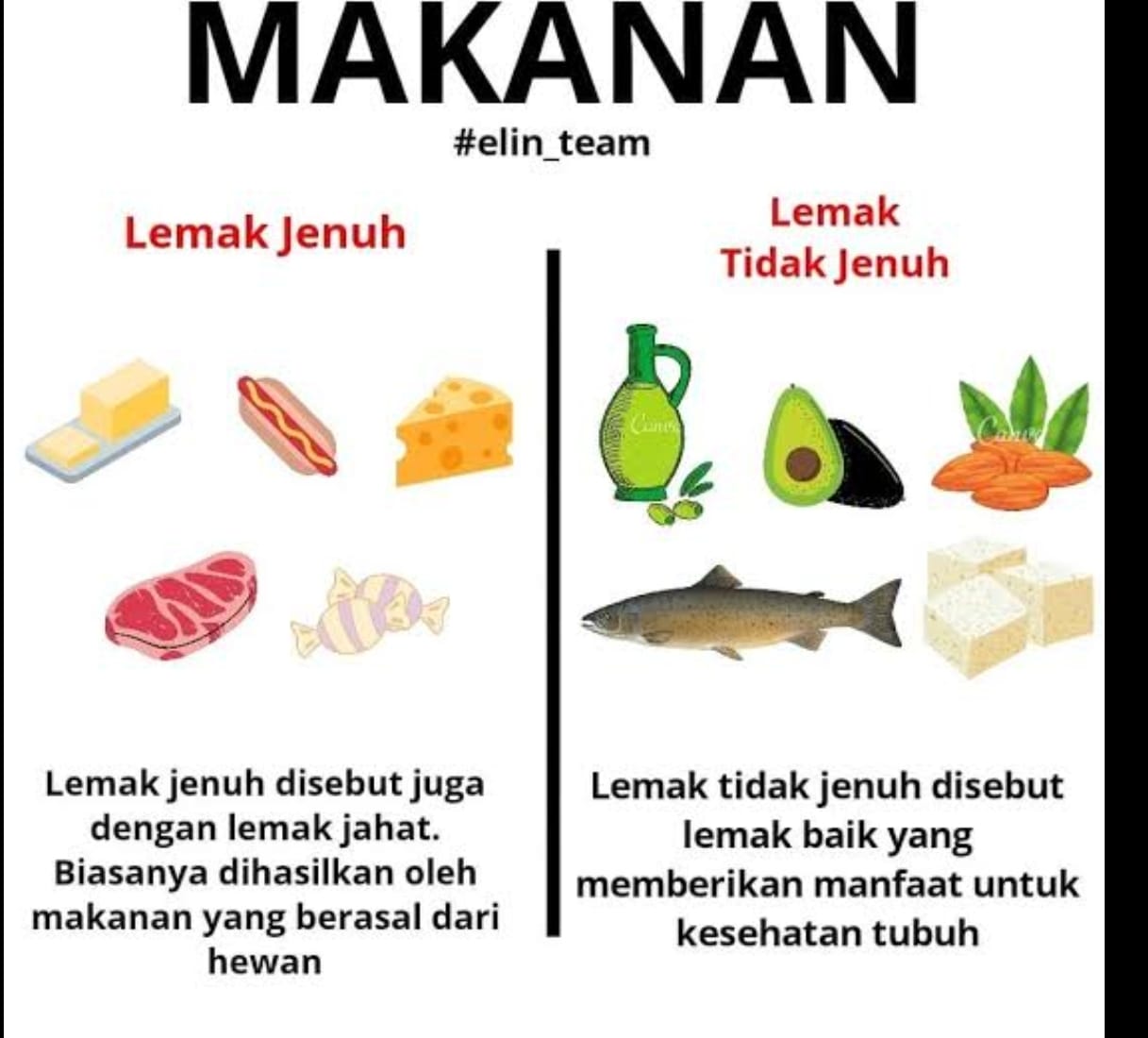 Perbedaan Antara Diet Rendah Lemak Dan Rendah Karbohidrat